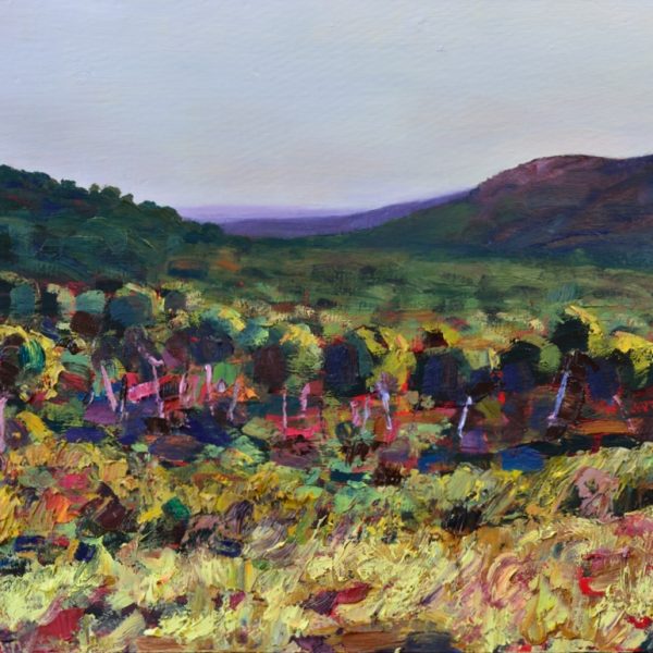 Comentario sobre la obra de Lluís Albert