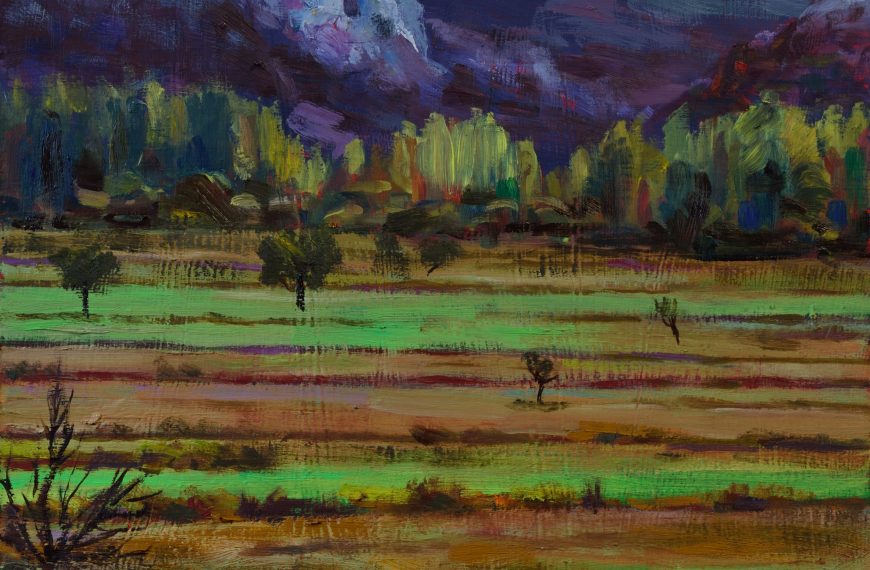 Exposición de pintura de Lluís Albert en la Casa Palau