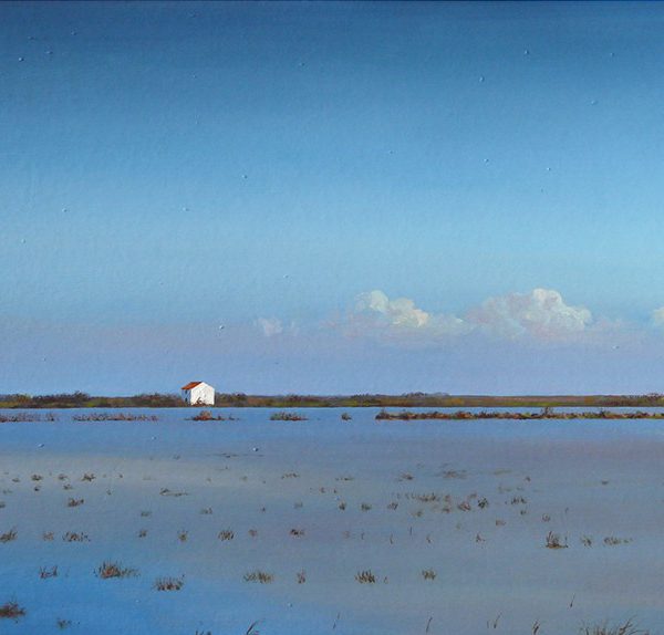 Expressions del patrimoni