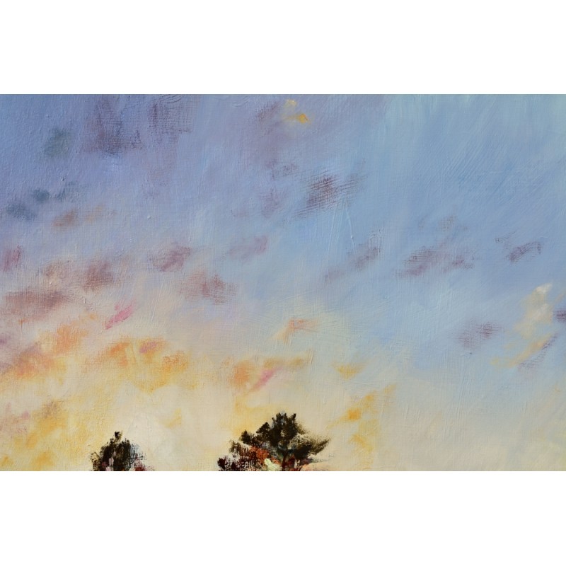 contraluz-con-arboles (1)