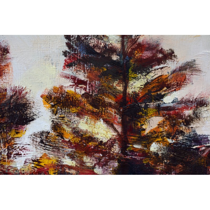 contraluz-con-arboles (2)