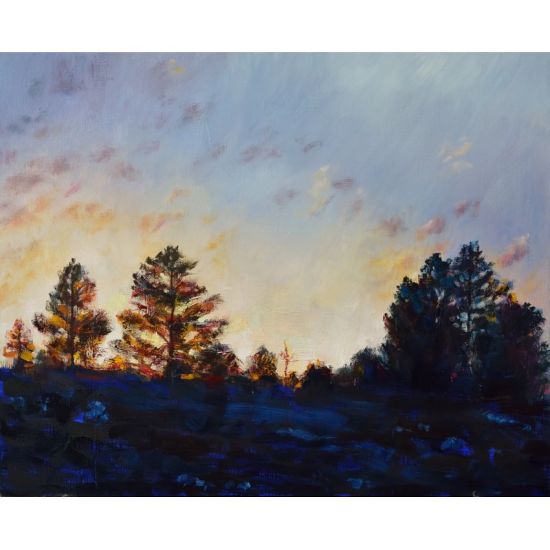 contraluz-con-arboles