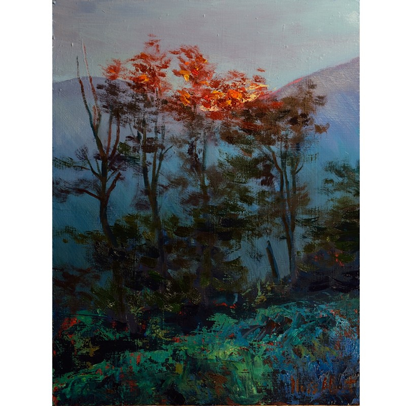 Puesta del sol en la montaña